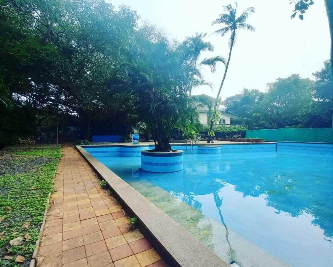 Piggy Hostel Calangute Exterior foto